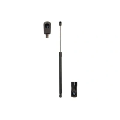 Imagen de Resorte de gas, maletero/compartimento carga MAGNUM TECHNOLOGY MGS2025
