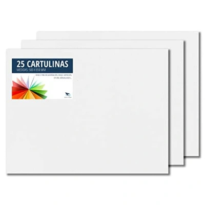 Imagen de Raylu Paper® Cartulinas 50x65cm, 25 Unidades, 180g/m². 50 x 65 cm de colores ideales para manualidades, oficina, dibujo, papiroflexia (Blanco)