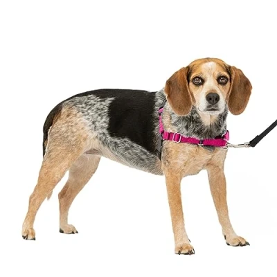 Imagen de PetSafe Arnés para Perros Easy Walk