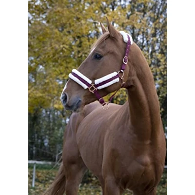 Imagen de Norton Licol Confort Colores Burdeos, tamaño equipamiento, Caballo