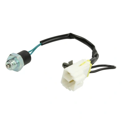 Imagen de Interruptor, luz de marcha atrás FAE 41280