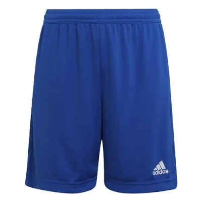 Imagen de adidas Unisex niños Entrada 22 Shorts, Royal Blue, 11 12 Years