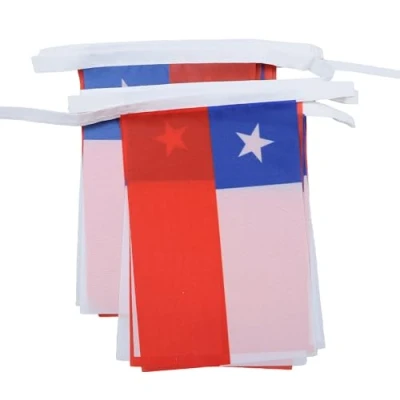 Imagen de AZ FLAG Guirnalda 6 Metros 20 Banderas de Chile 21x15cm Bandera CHILENA 15 x 21 cm BANDERINES