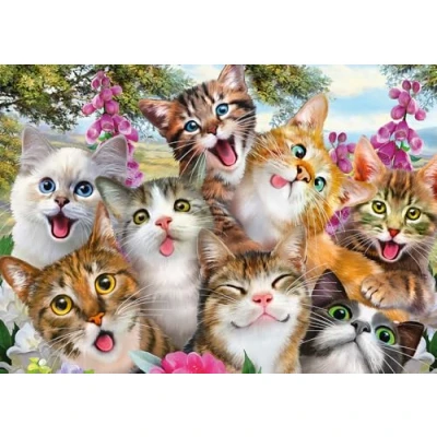 Imagen de Schmidt 58391 Jigsaw Puzzle Cat Selfie (500 pcs)