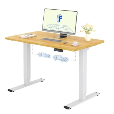 Imagen de FLEXISPOT 120X80cm Escritorio Elevable Eléctrico con Tablero Entero, Standing Desk, Mesa de 4 Opciones Memoria Inteligente para Oficina y Hogar(Arce)