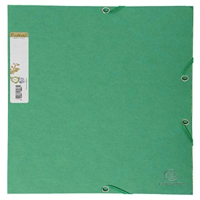 Imagen de Exacompta 56983E Carpeta con goma, A4, color verde