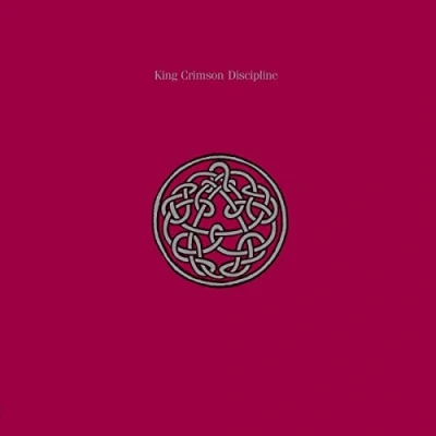 Imagen de DISCIPLINE ( Steven Wilson &amp; Robert Fripp mixes) 200gram vinyl [Vinilo]