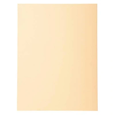 Imagen de Subcarpeta cartulina reciclada exacompta din a4 crema 170 gr