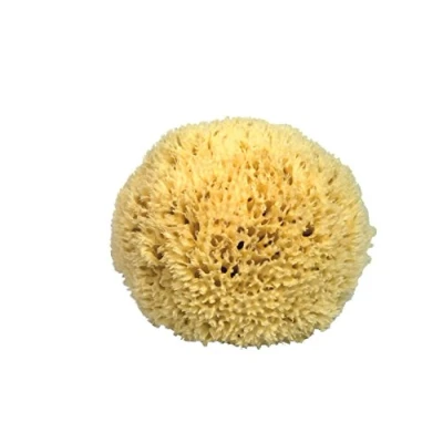 Imagen de Croll &amp; Denecke L160 Esponja Natural del mar Mediterráneo (poro Fino, 16 cm)