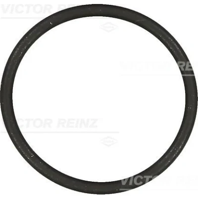 Imagen de REINZ 40 76854 00 Junta Colector de Admision FPM (caucho fluroado) VOLKSWAGEN: Golf 5, 4, Touran I, SEAT: Ibiza 3, Córdoba II Berlina, 4