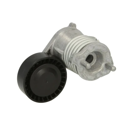 Imagen de DAYCO APV3019 Tensor de Correa FORD: Focus 2, KUGA 1