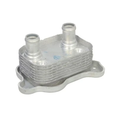 Imagen de THERMOTEC D4B029TT Radiador de Aceite MINI: Hatchback