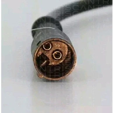 Imagen de Sensor, revoluciones de rueda TRISCAN 8180 29405