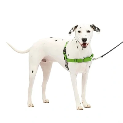 Imagen de PetSafe Arnés para Perros Easy Walk