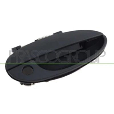 Imagen de Manecilla exterior de la puerta PRASCO DW3208001