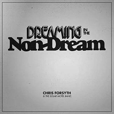 Imagen de Dreaming In The Non Dream [Vinilo]