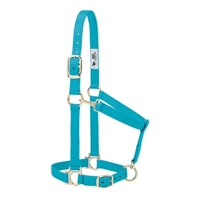 Imagen de Weaver Leather Cabestro básico Ajustable de Nailon, Turquesa, Caballo grande 1 Pulgada