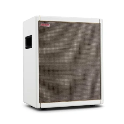 Imagen de Positive Grid Spark CAB Gabinete de Altavoz Amplificador Guitarra, Alimentado para Amplificadores la Serie Spark, Múltiples Instrumentos, Modeladores y Más. Perlado