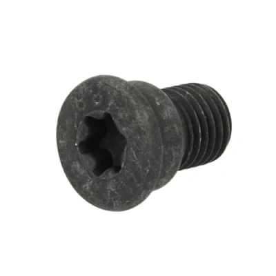 Imagen de Tornillo, disco de freno DELPHI BGK007