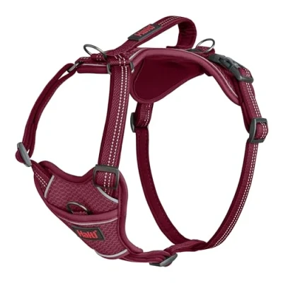 Imagen de Arnés de perro HALTI Anatomy con asa Proporciona libertad movimiento a tu para que pasee cómodamente. 3 puntos enganche y acolchado neopreno ajustable (Talla XS, Magenta)