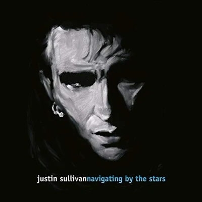 Imagen de Navigating By The Stars [Vinilo]