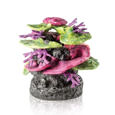 Imagen de biOrb Coral Cresta Verde Morado