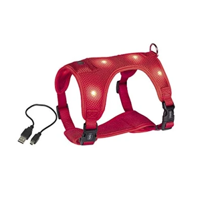 Imagen de Nobby Nobbys Arnés de Seguridad con luz LED (pequeño), Color Rojo