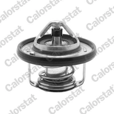 Imagen de Termostato, refrigerante CALORSTAT by Vernet TH6949.88J