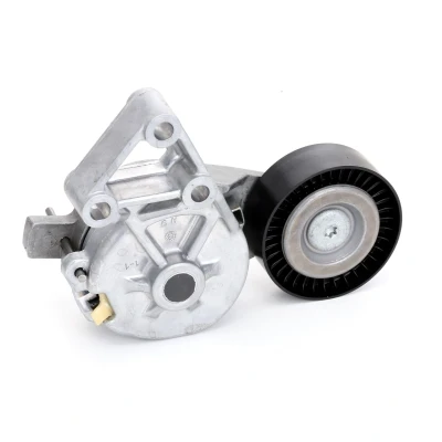 Imagen de INA 534 0132 30 Brazo tensor, correa trapecial poli V VOLKSWAGEN: Golf 4, Bora Berlina, SEAT: Leon I Hatchback, AUDI: A3 Hatchback norauto, oscaro,