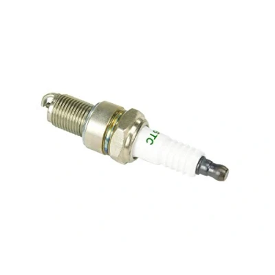 Imagen de Briggs &amp; Stratton 798615 Spark Plug