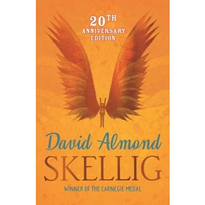Imagen de Skellig