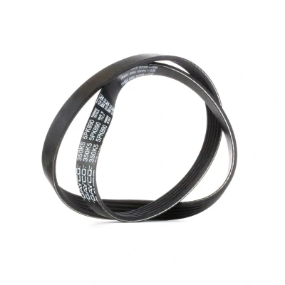 Imagen de DAYCO 5PK890 Correa trapecial poli V 890,0 5 BMW: Berlina, FORD: Focus 2, KUGA 1, VOLVO: S40 II, V50, C30