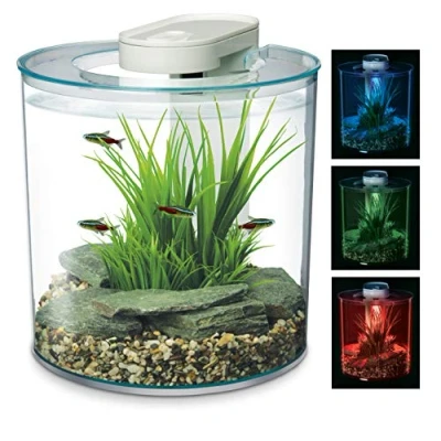 Imagen de Marina Acuario 360 Grados