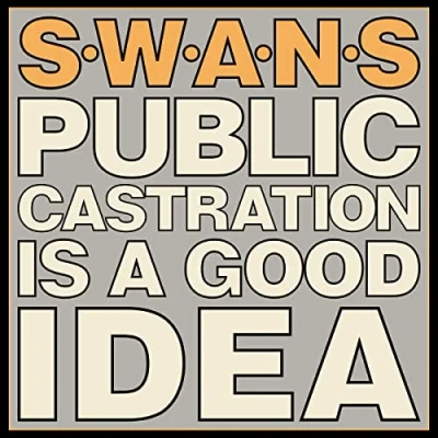 Imagen de Public Castration Is a Good Idea [Vinilo]