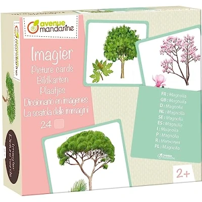 Imagen de Clairefontaine ES Avenue Mandarine JE525C Caja imagiers 24 cartas multilingües (traducción a 10 idiomas) 11,5 x 12,7 cm, árboles