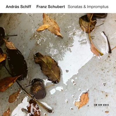 Imagen de Franz Schubert Sonatas &amp; Impromptus