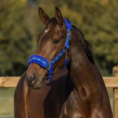 Imagen de Horka Halter Plush