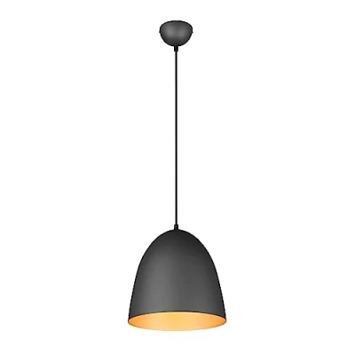 Imagen de Reality, Colgante, Tilda 1xE27, max.40,0 W Metal, negro oro, Cuerpo: oro Ø:25,0cm, A:150,0cm IP20,Sin bombilla,Regulable en altura