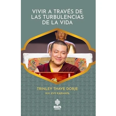 Imagen de Vivir a través de las turbulencias la vida.