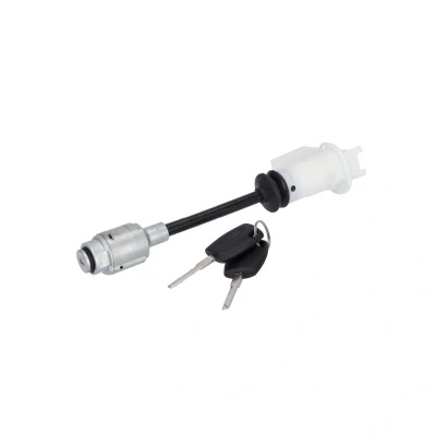 Imagen de FEBI BILSTEIN 196529 Cilindro de Cerradura FORD: Focus C Max, 2