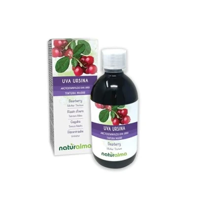 Imagen de Gayuba o uva ursi (Arctostaphylos ursi) hojas Tintura Madre sin alcohol Naturalma Extracto líquido gotas 500 ml Complemento alimenticio Vegano