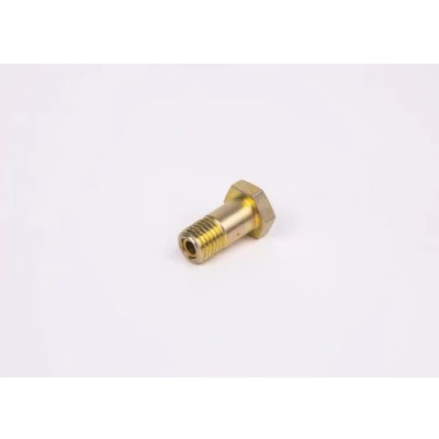 Imagen de BOSCH F 002 D13 579 Tornillo