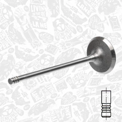 Imagen de ET ENGINETEAM VI0071 válvula de admisión 31,2mm Lado vástago cromado OPEL: Vectra C Sedán, Astra G CC, Zafira A Monovolumen