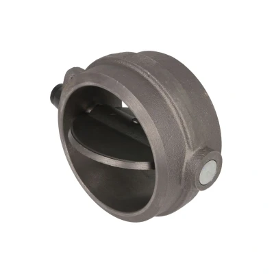 Imagen de Tapa de escape, freno motor AUGER 87168
