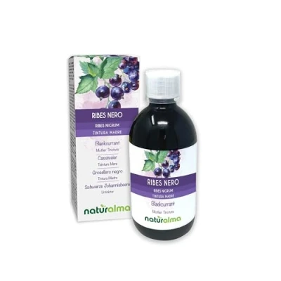 Imagen de Grosellero negro (Ribes nigrum) hojas y frutos Tintura Madre sin alcohol Naturalma Extracto líquido gotas 500 ml Complemento alimenticio Vegano