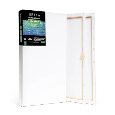 Imagen de Elan Lienzos Preestirados 40x80, 6 PACK 100% Algodón para Pintar Grandes, Canvas Pintar, Enmarcados, Tela Pintura, Lienzo Grande, Blanco