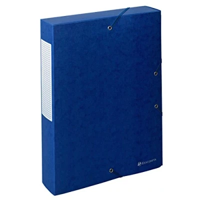 Imagen de Exacompta 50910E Pack de 10 carpetas proyecto con goma, multicolor