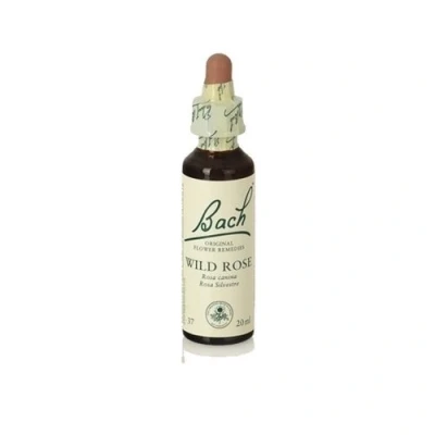 Imagen de Wild Rose (Flores De Bach) 20 ml Flores Bach Originales