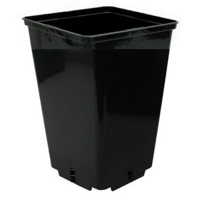 Imagen de NBGRLVS Black Square Growing Pot for Plants CEP 16x16x23,5cm (4L)