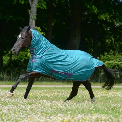 Imagen de Bucas Freedom Fly Sheet Green / Violet